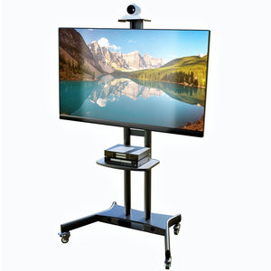 Mount-It! Portable TV Floor Stand with Mount - Tall Pedestal Television  Stand with Free-Standing Base, Ideal for Presentations, Tradeshows,  Outdoors